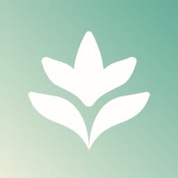 LumeSkin app icon